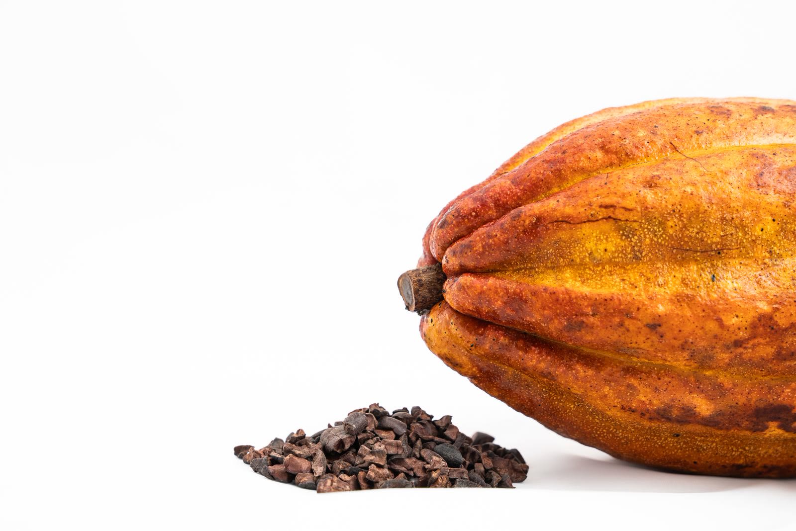 Un baccello di cacao aperto con le fave