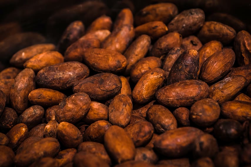 Fave di cacao tostate