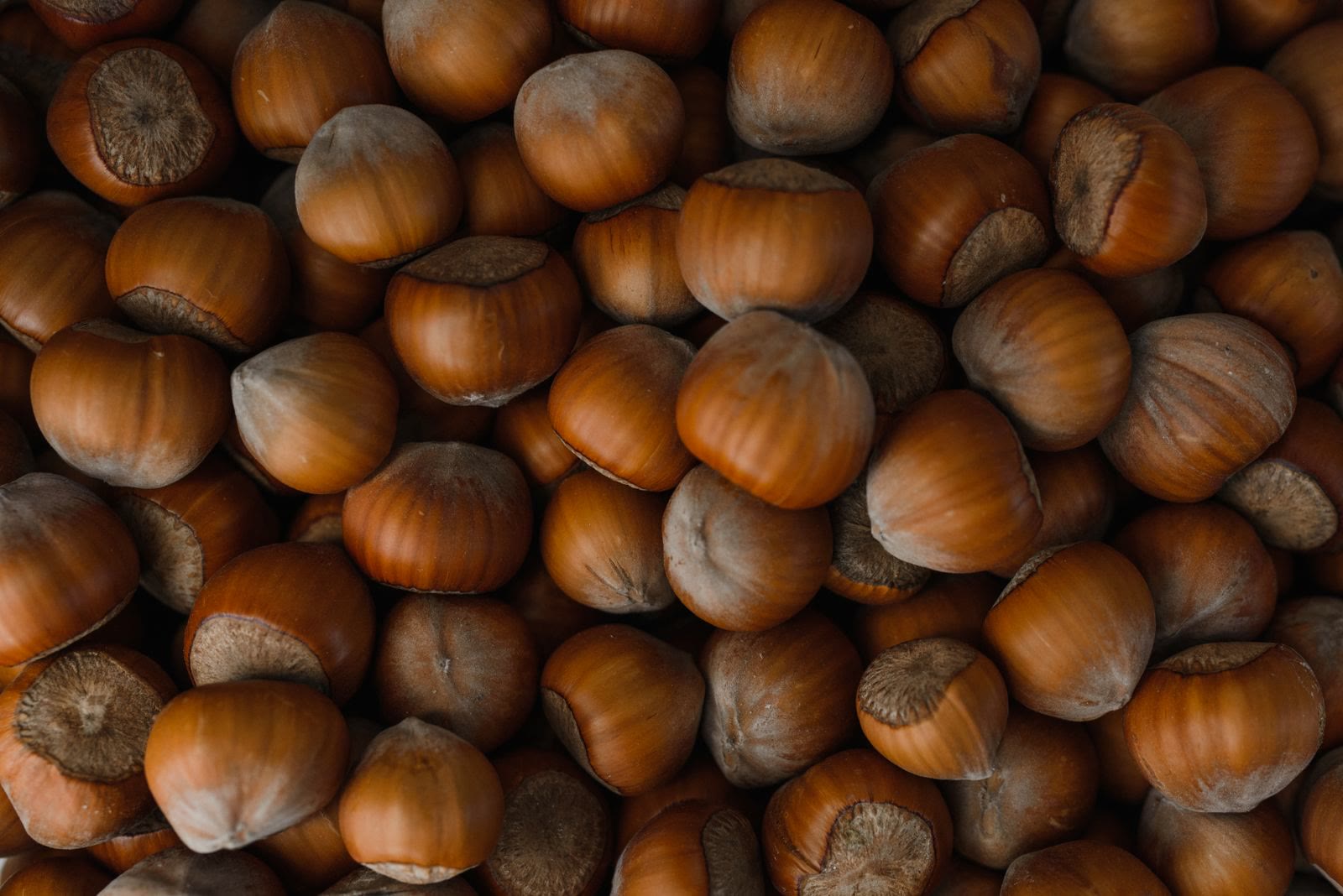 Nocciole sgusciate in primo piano